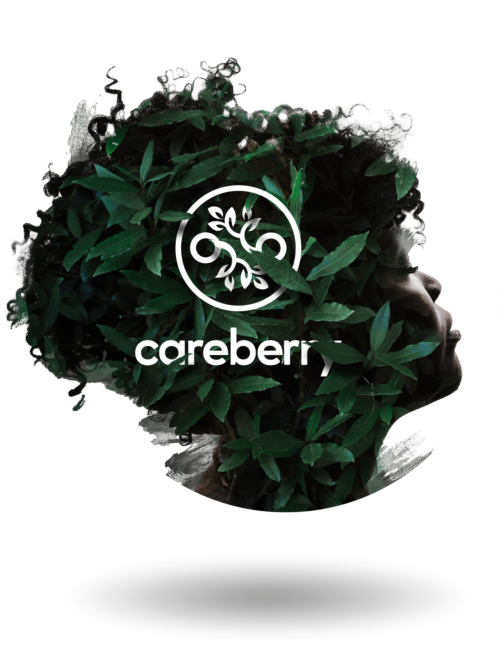 Careberry natural products